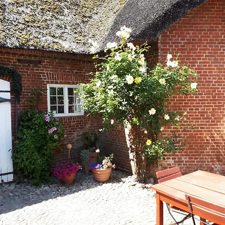 Emily Hof Doettgebuell