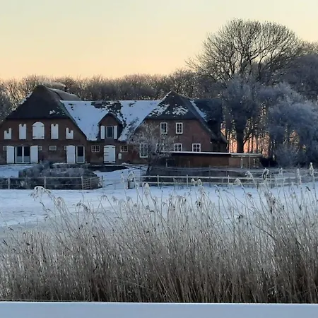 Emily Hof Doettgebuell *