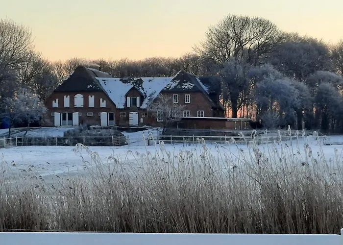 Emily Hof Doettgebuell *